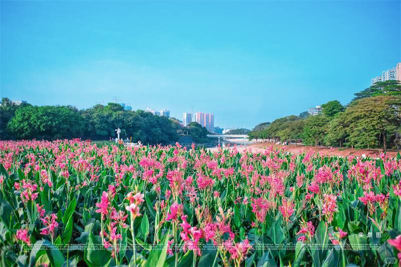 微信图片_2025-09-05_115706_120.jpg