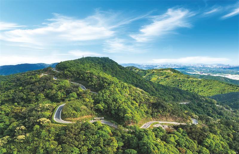 1763102827145540.jpg 微信图片_2025-11-14_143808_494.jpg